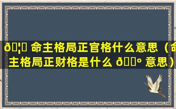 🦟 命主格局正官格什么意思（命主格局正财格是什么 🌺 意思）